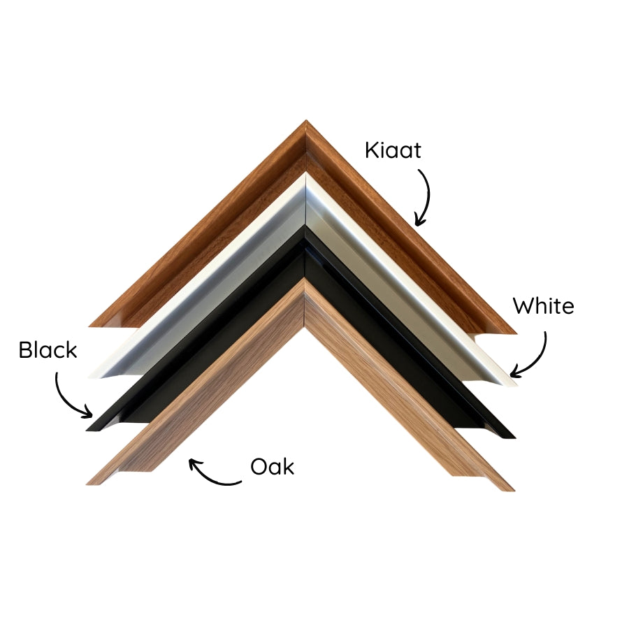 Growing Deep Canvas Print