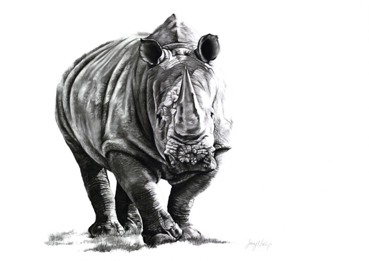 Rhino Canvas - Jennifer Mallon - Ruthanne Collection