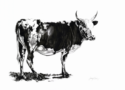 Nguni Canvas Print - Jennifer Mallon - Ruthanne Collection