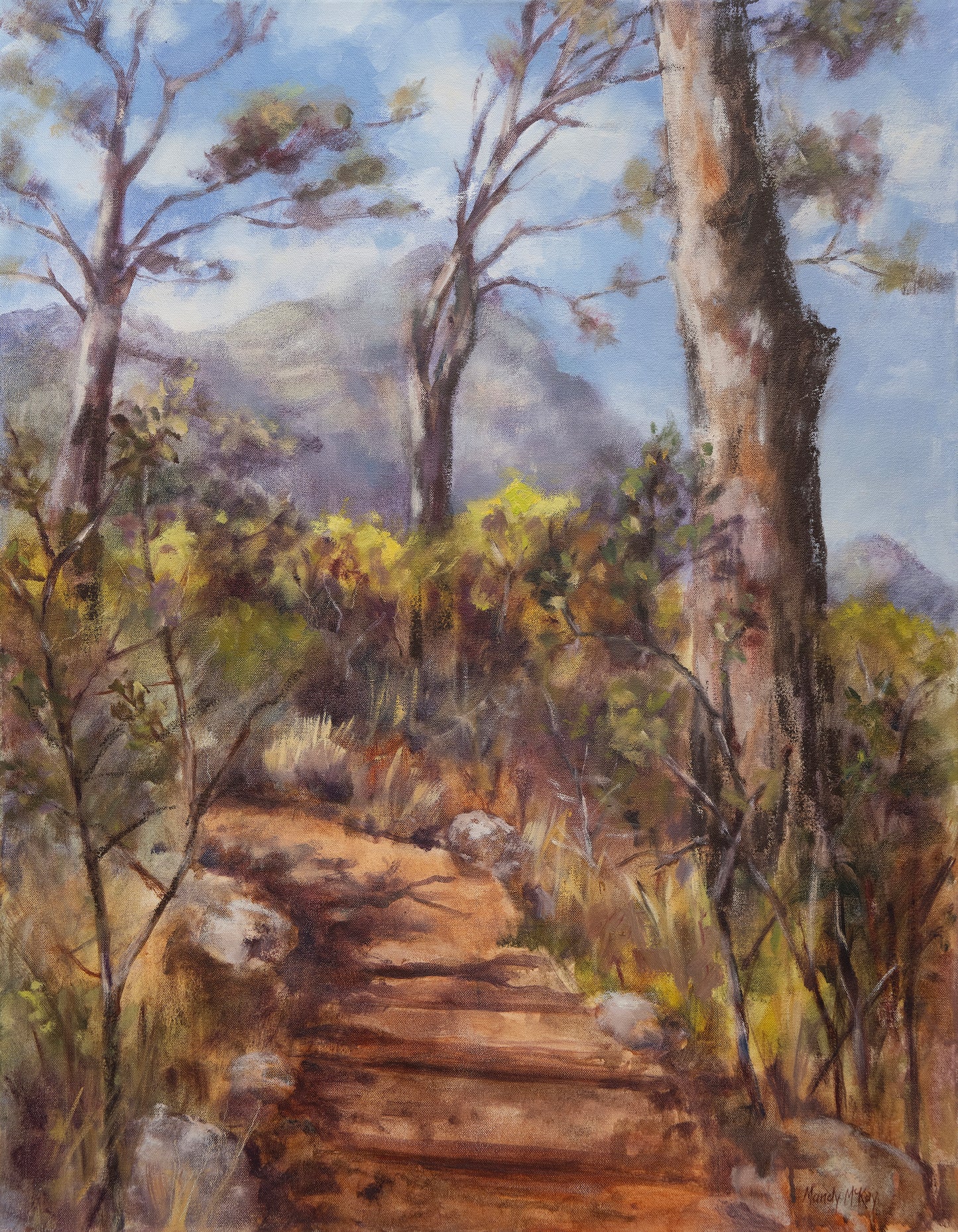 Old Stone Path & Pines in Kirstenbosch Canvas Print