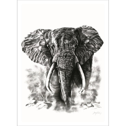Ellie Dust Poster Print