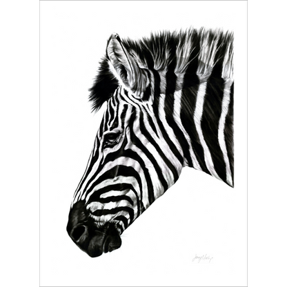 Zebra 3 Poster Print