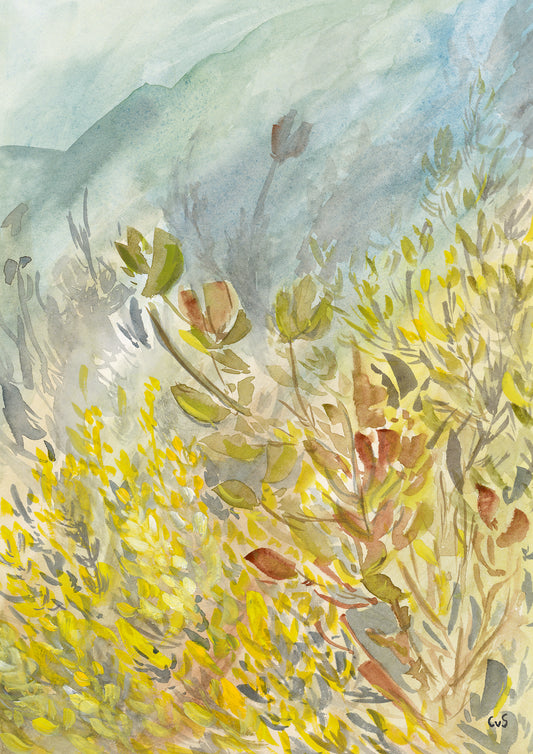 Abundance Canvas Print