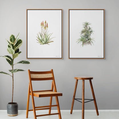 Tilt-Head Aloe Canvas Print