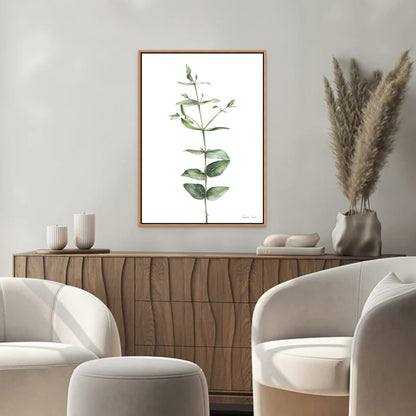 Eucalyptus Canvas Print