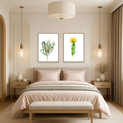 Yellow Pincushion Canvas Print