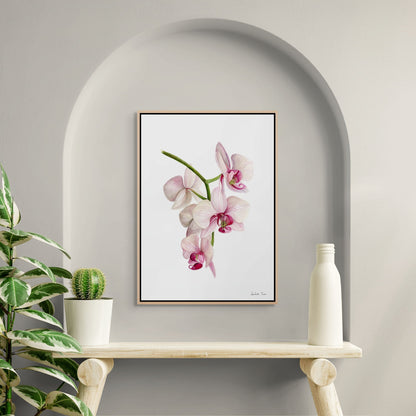 Flower Canvas Print