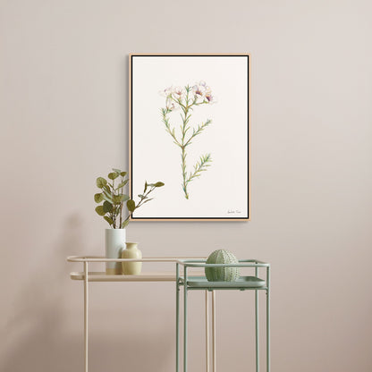 Geralton Wax Canvas Print