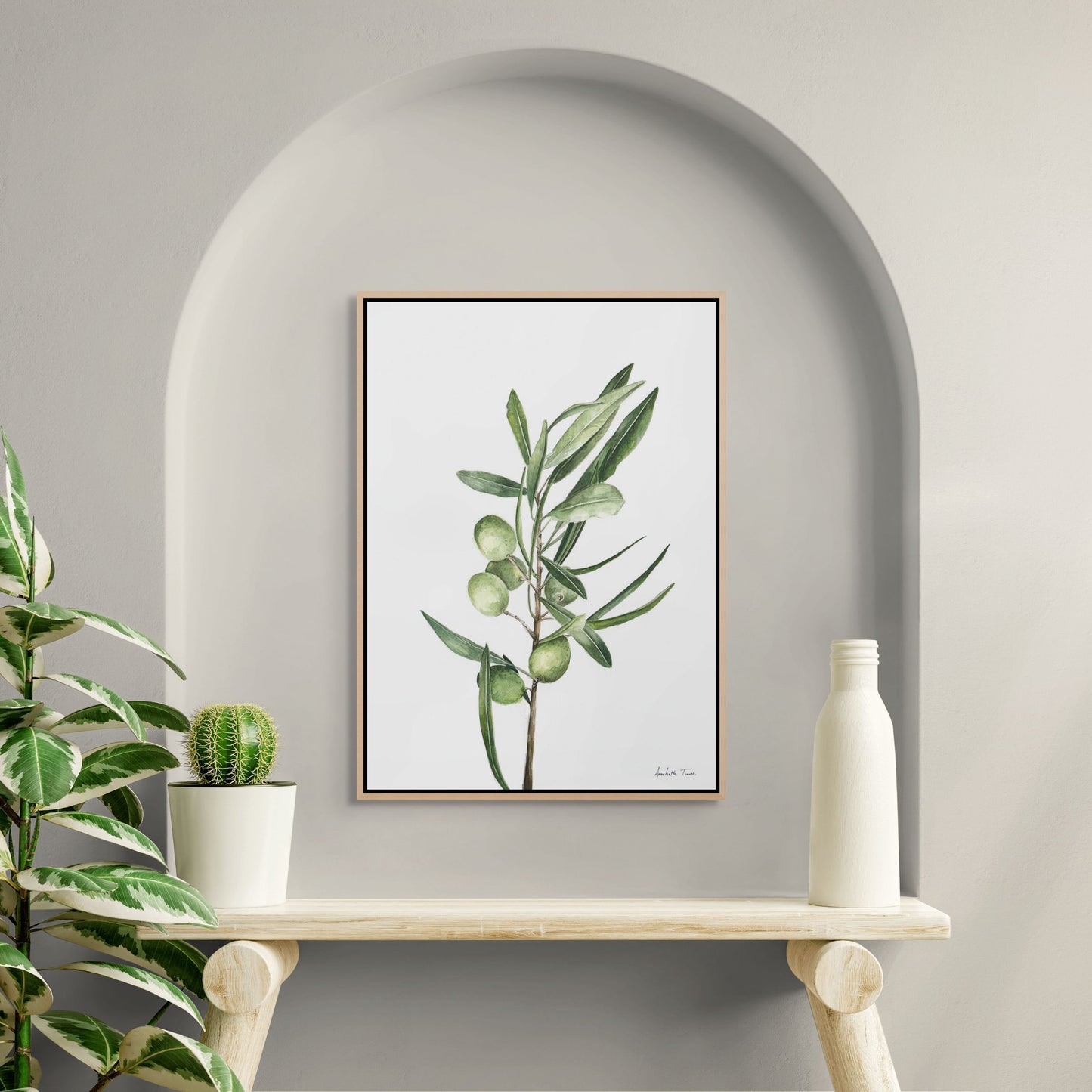 Olive Branch Canvas Print