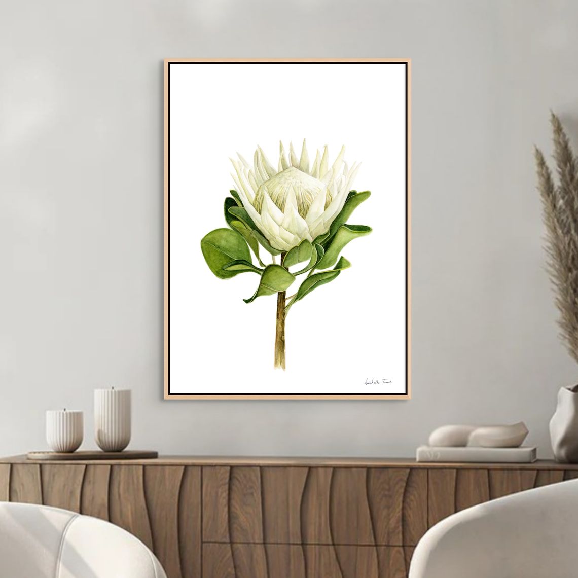 Protea Canvas Print