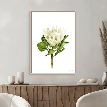 Protea Canvas Print