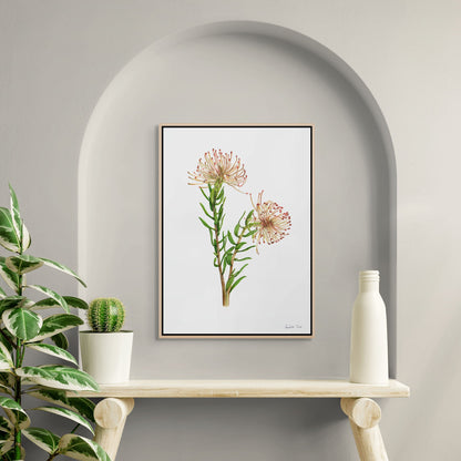 Protea Leucospermum Tottum Canvas Print
