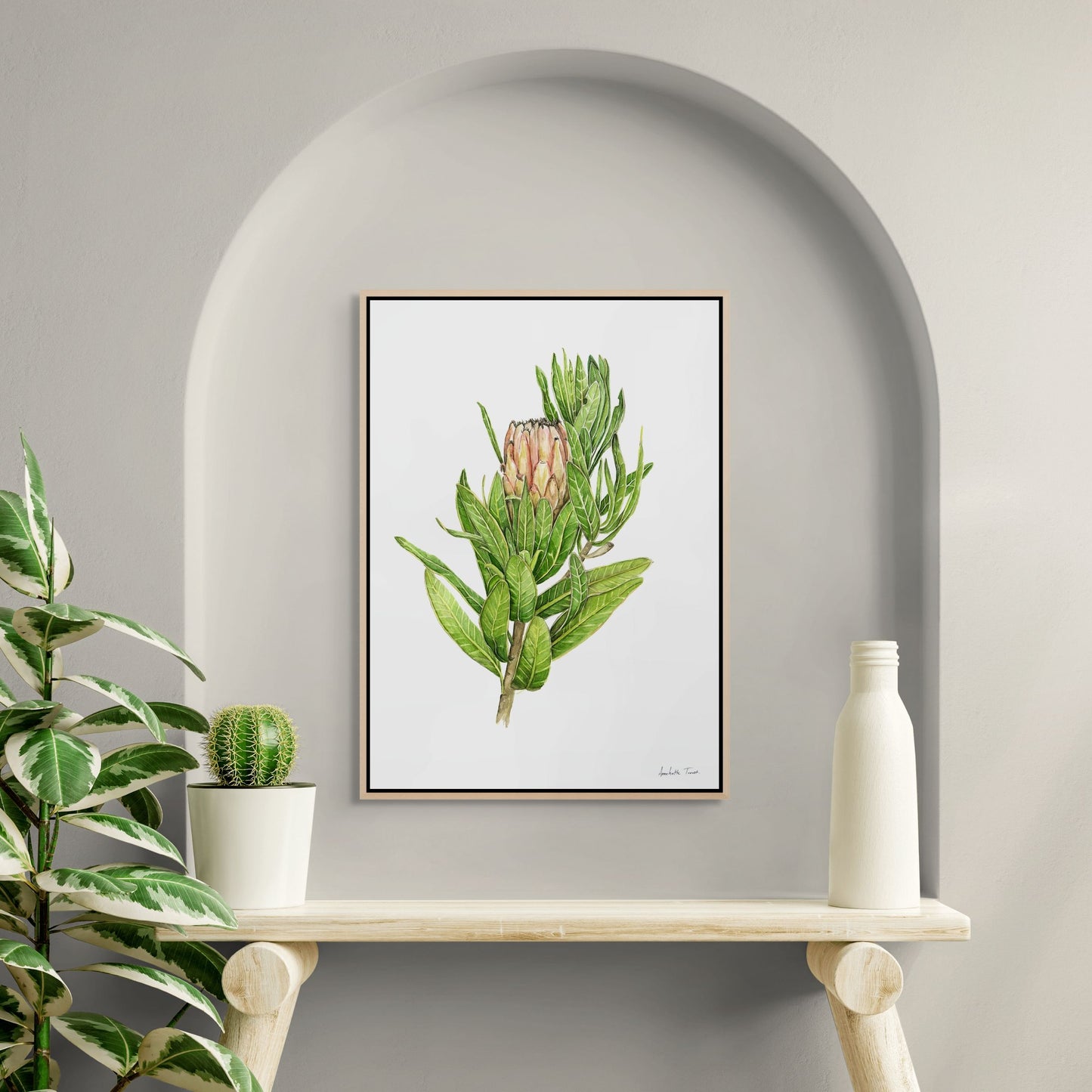 Protea Mink Canvas Print
