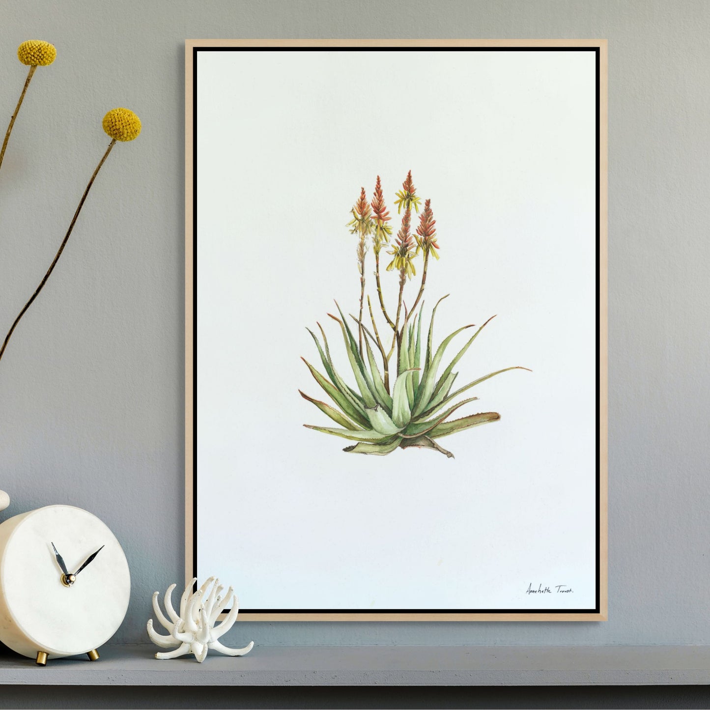 Sand Aloe Canvas Print