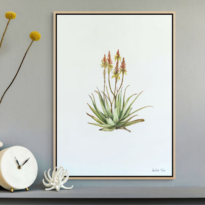 Sand Aloe Canvas Print