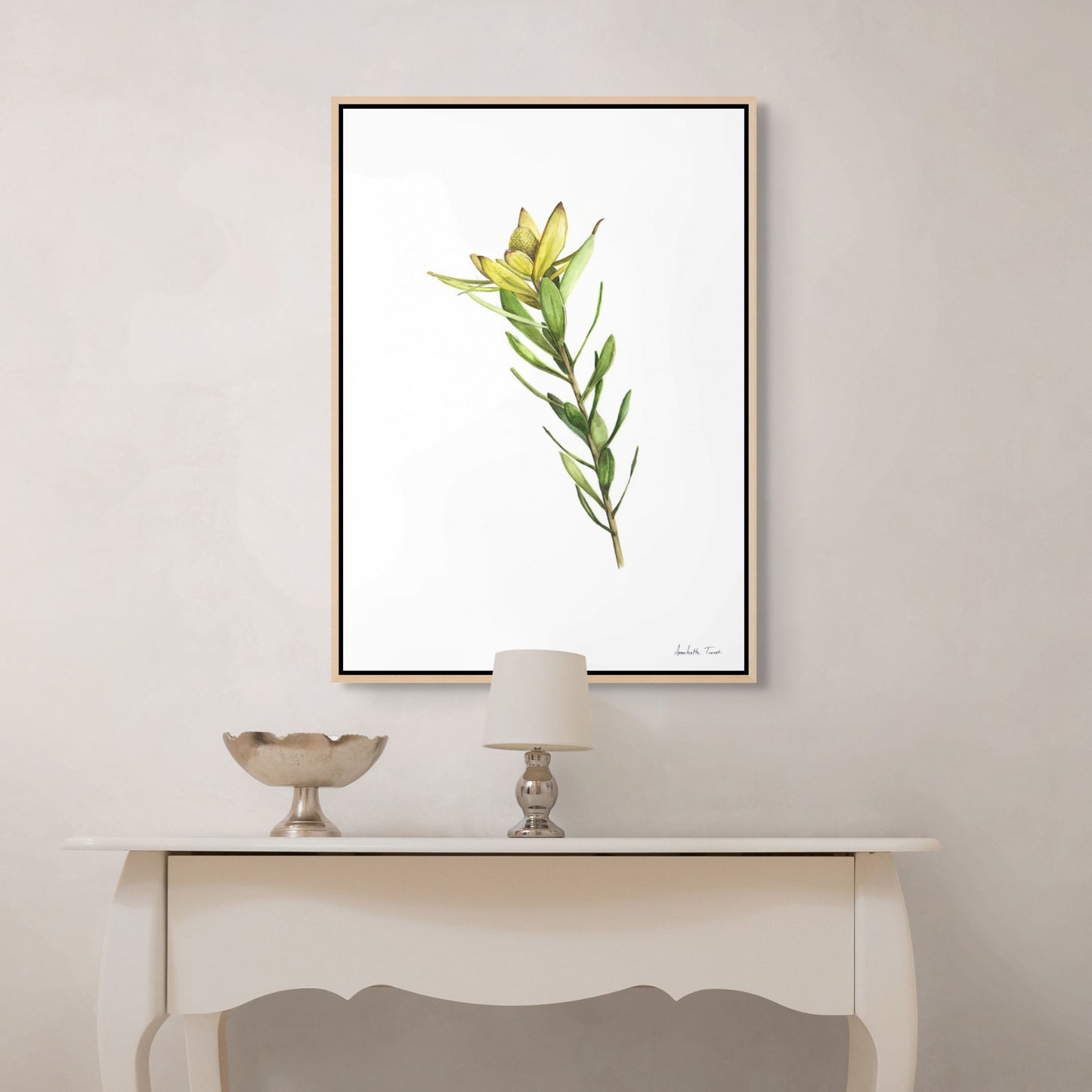 Sunshine Conebush Canvas Print