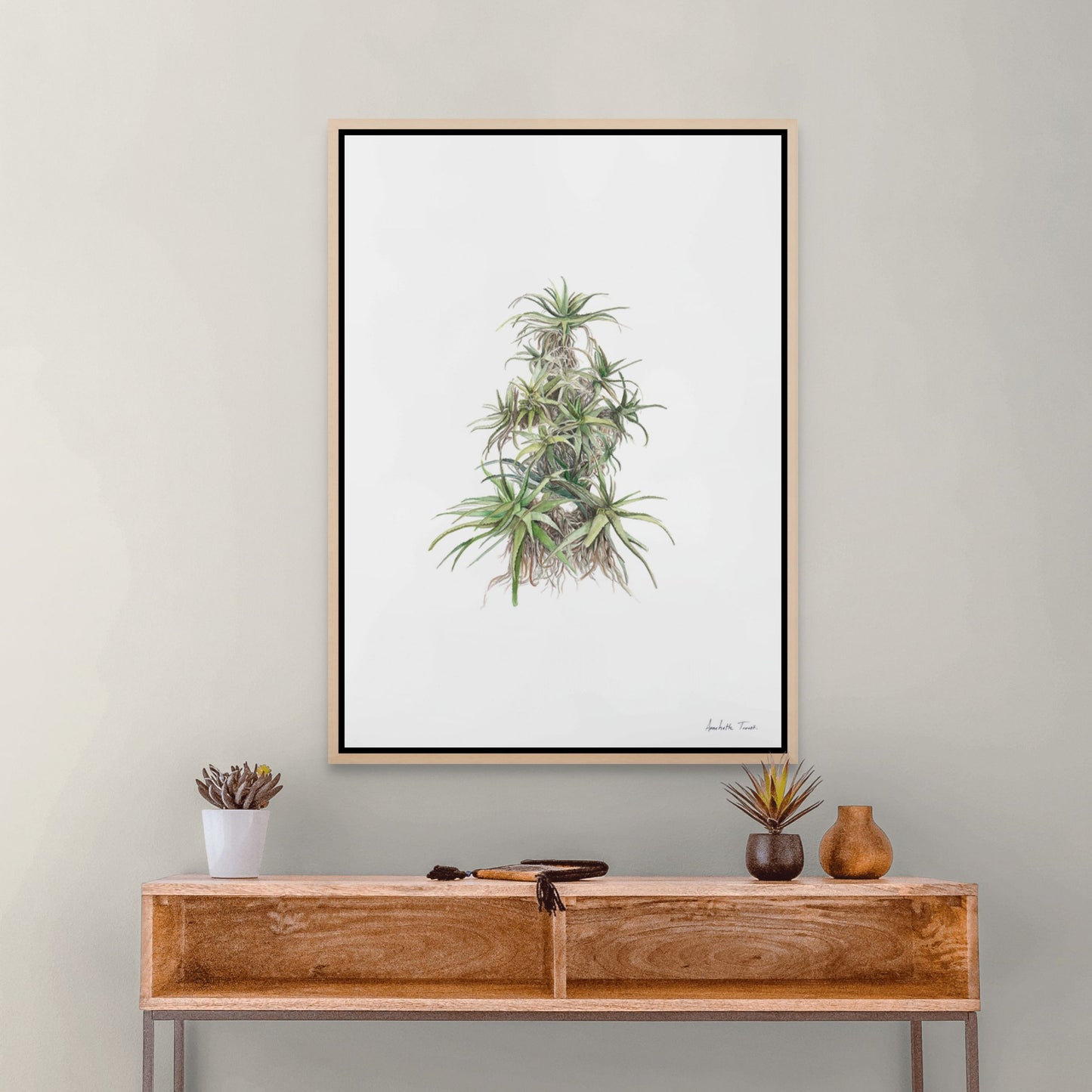 Tilt-Head Aloe Canvas Print