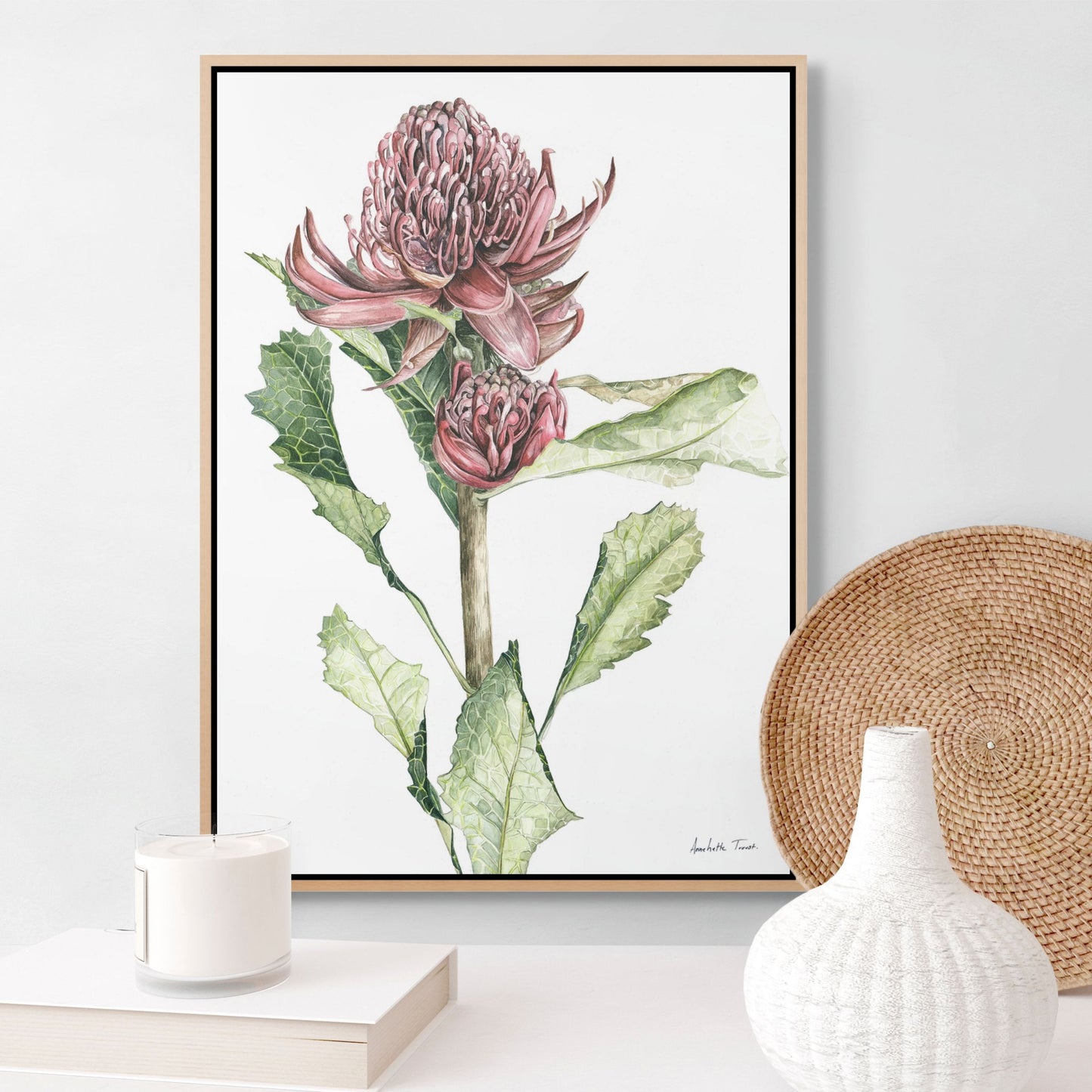 Waratah Canvas Print