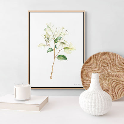 White Bougainvillea Canvas Print