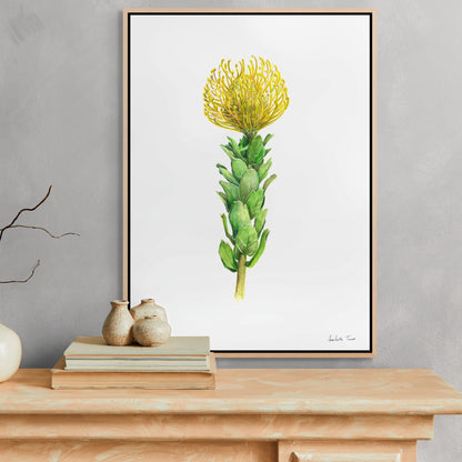 Yellow Pincushion Canvas Print