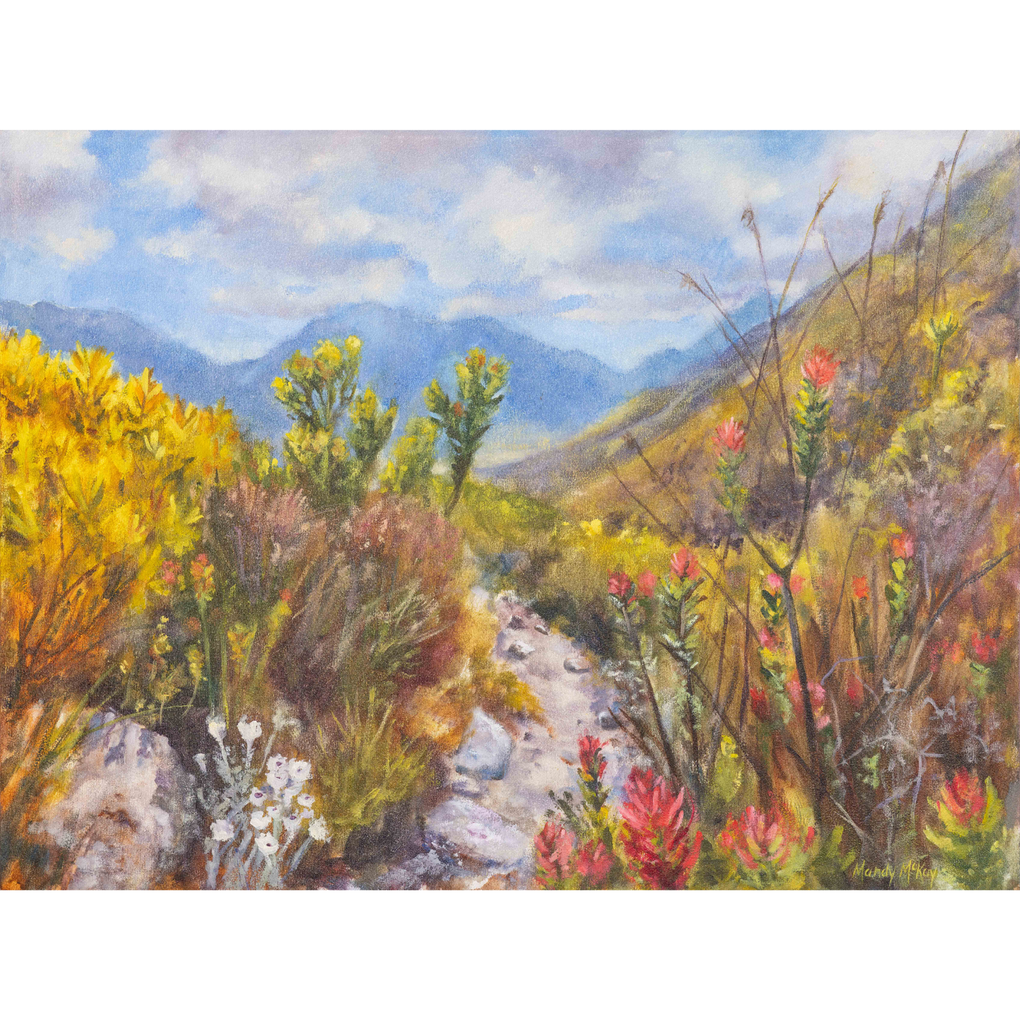 Fynbos Joy, Koegelberg Canvas Print