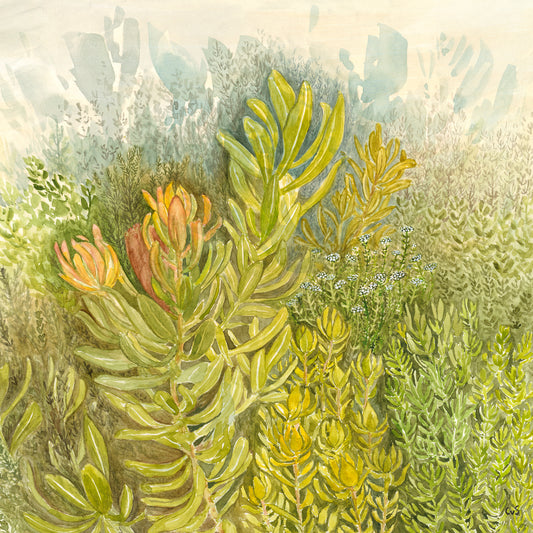 Fynbos Mountain Print