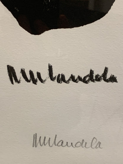 Nelson Mandela's Impressions of Africa - Signed Limited Edition