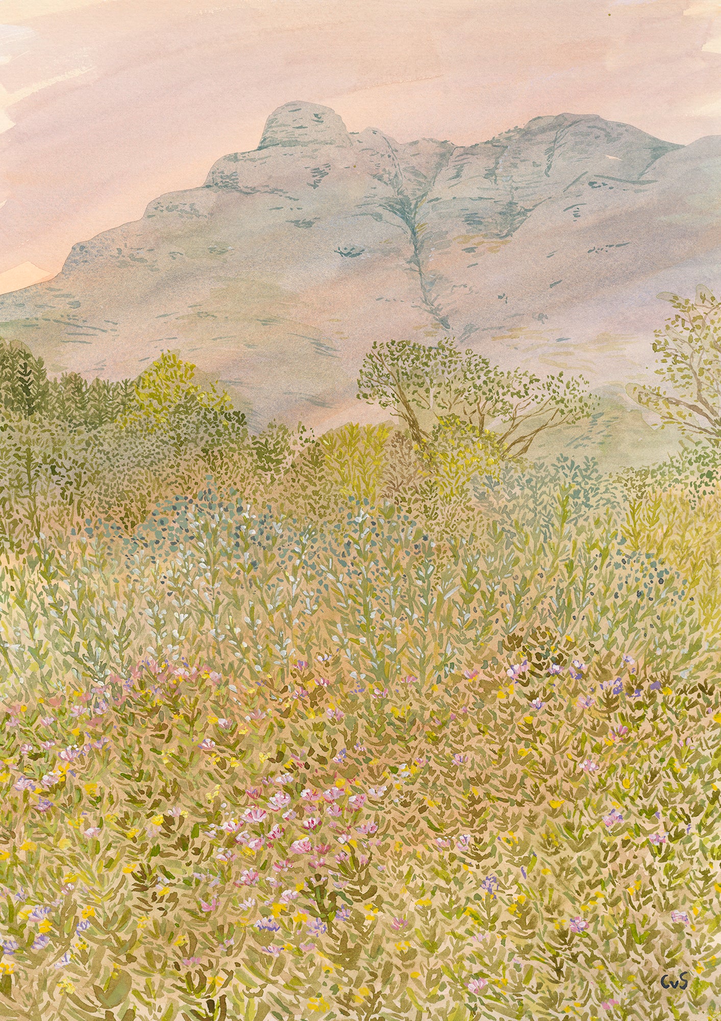In the stillness Canvas Print