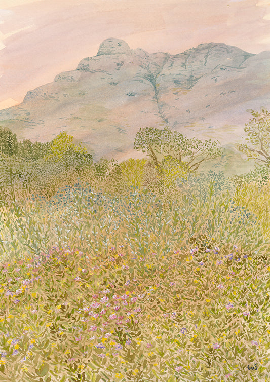 In the stillness Canvas Print