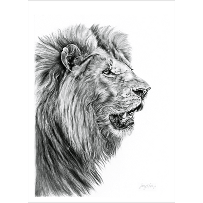 Lion Poster Print