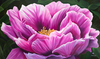 Lustrous - Marlie Vermeulen - Ruthanne Collection