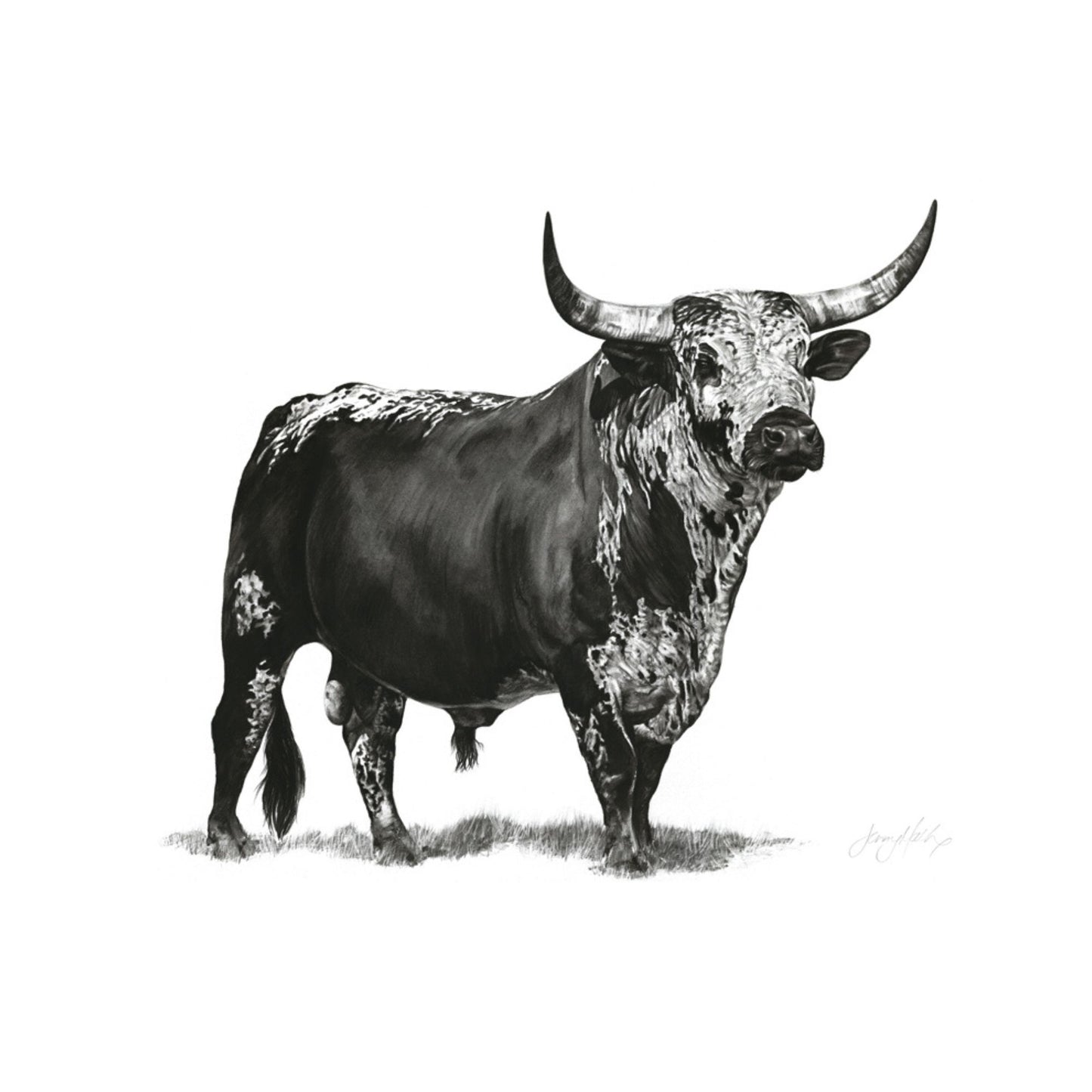 Greeting Cards & Envelopes Square 15 x 15cm