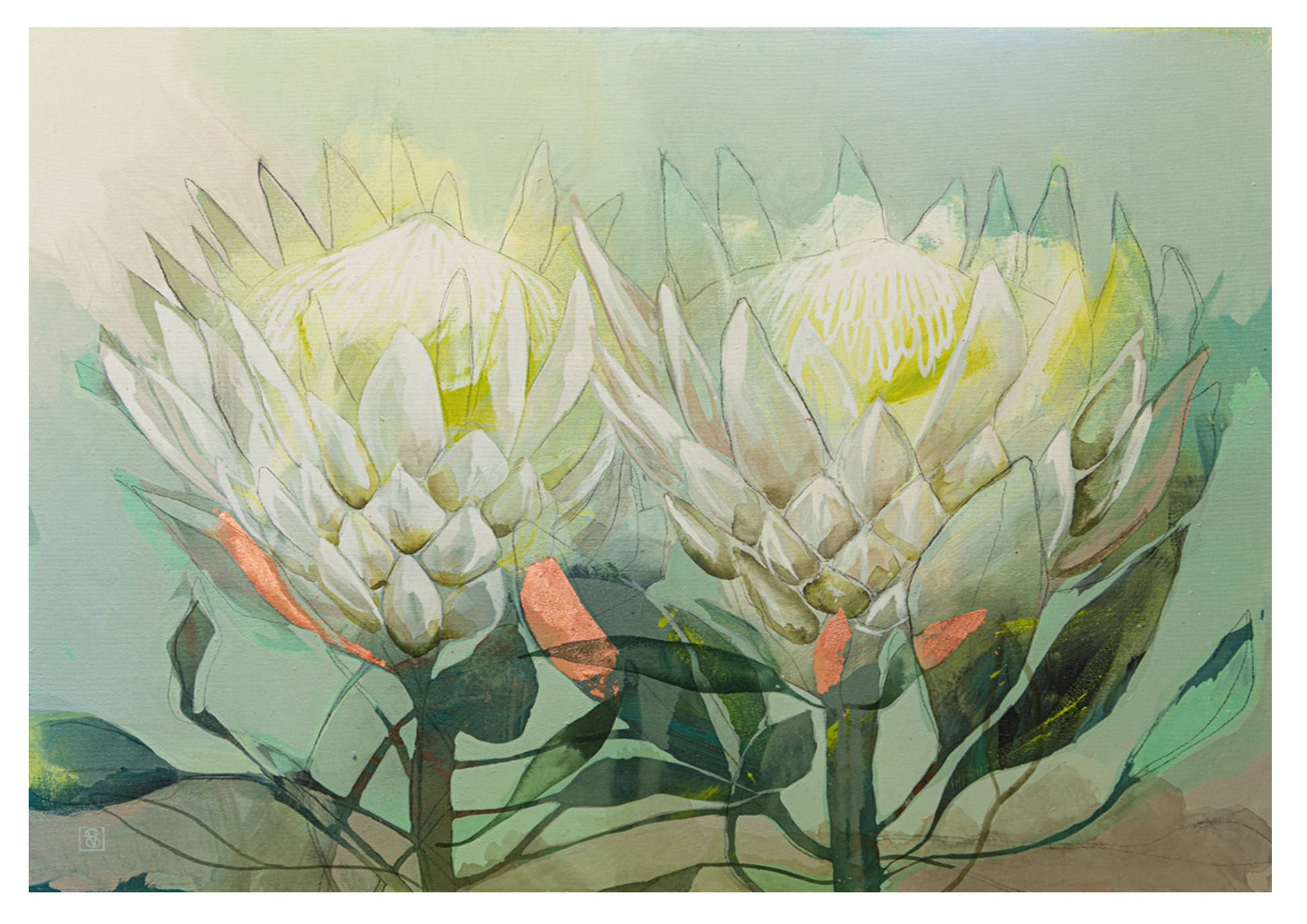 Protea Sisters - Vicky Sanders - Ruthanne Collection