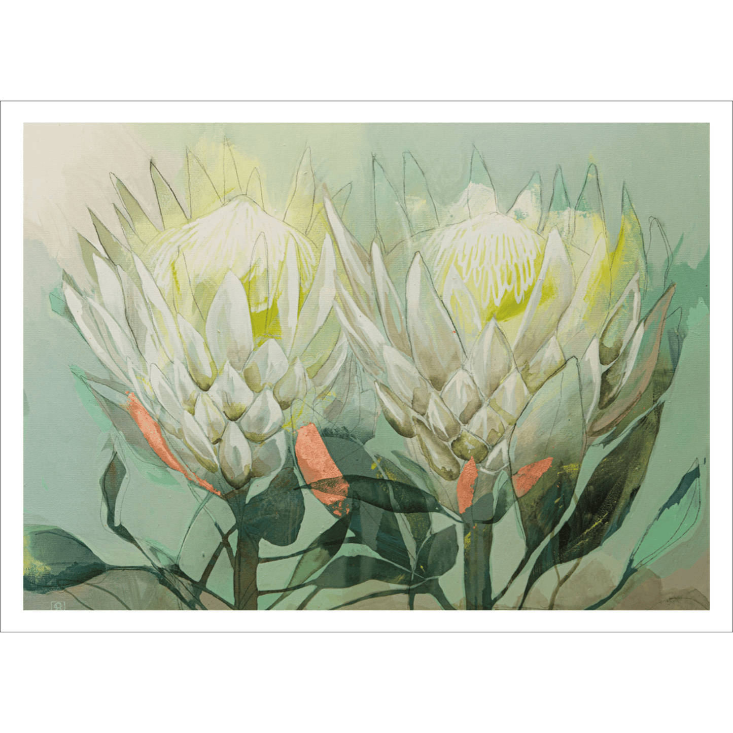 Protea Sisters Poster Print