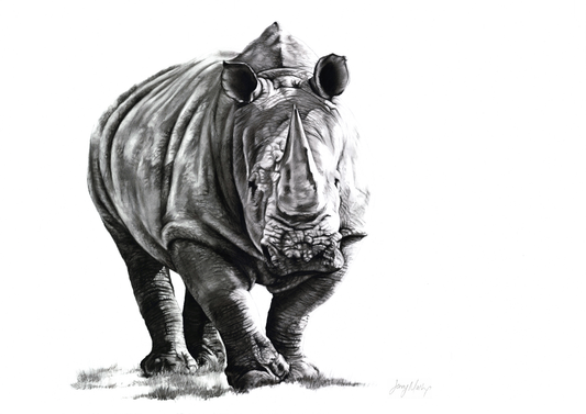 Rhino 2 Canvas Print
