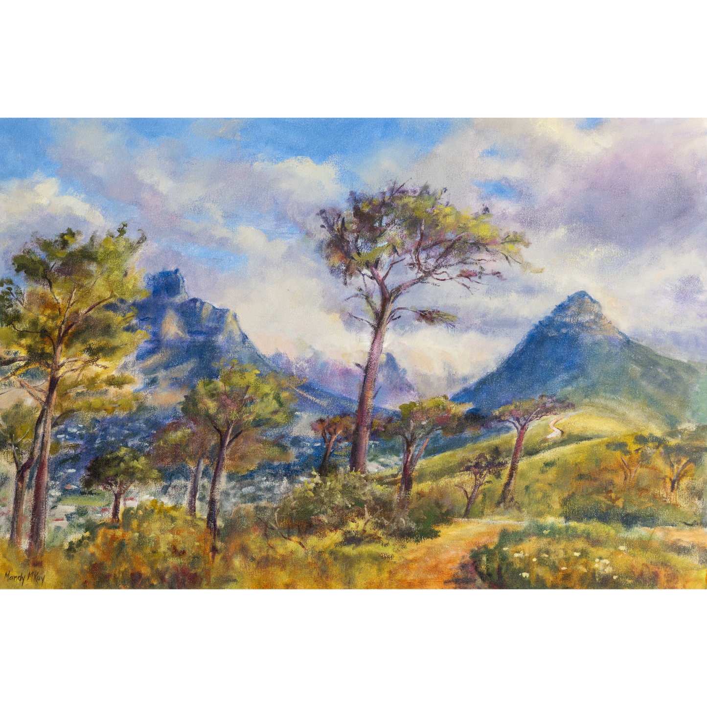 Tranquility From Signal Hill Canvas Print