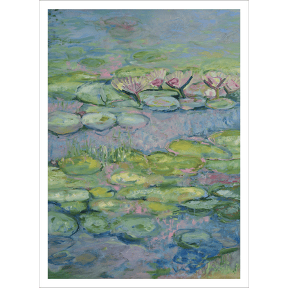 Water Lillies - Purity Poster Print