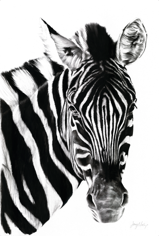 Zebra 2 Canvas Print