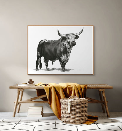 Nguni Bull Canvas Print