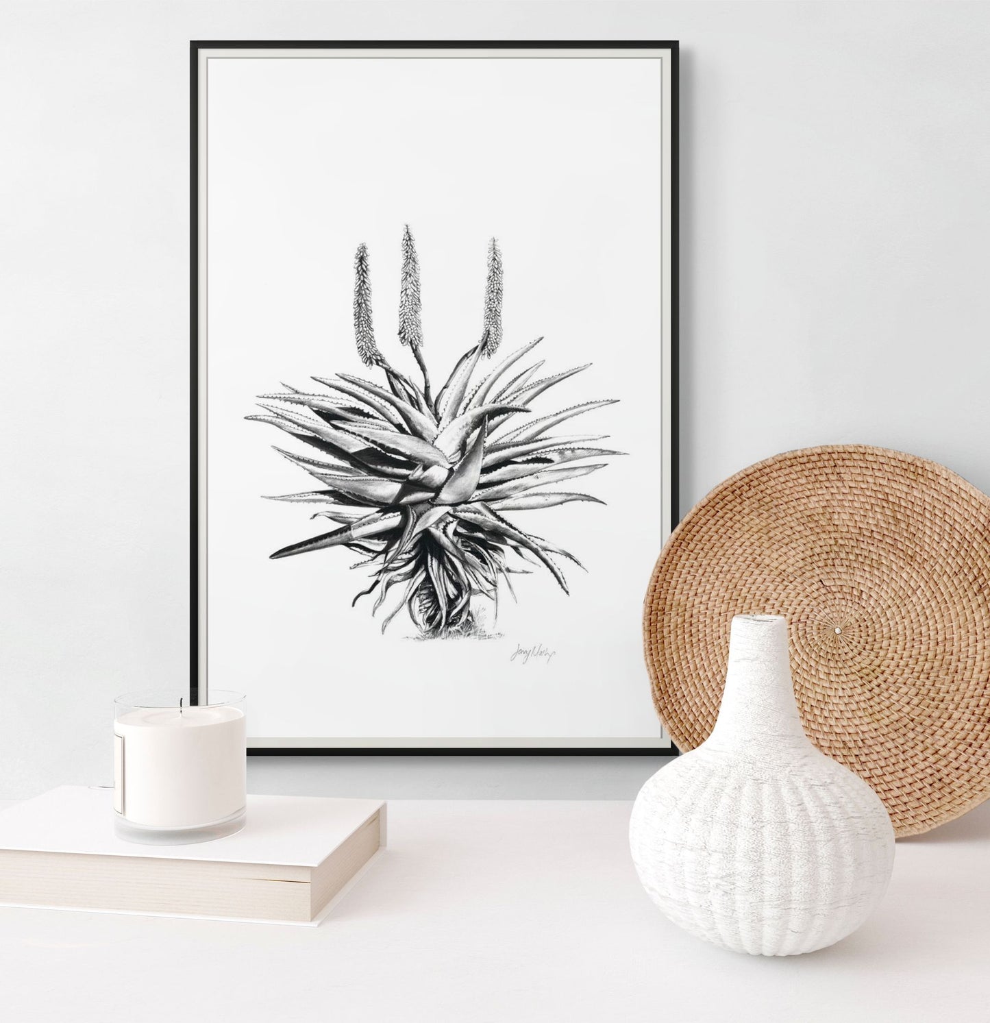 Aloe 1 Poster Print
