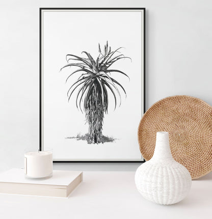 Aloe 3 Poster Print