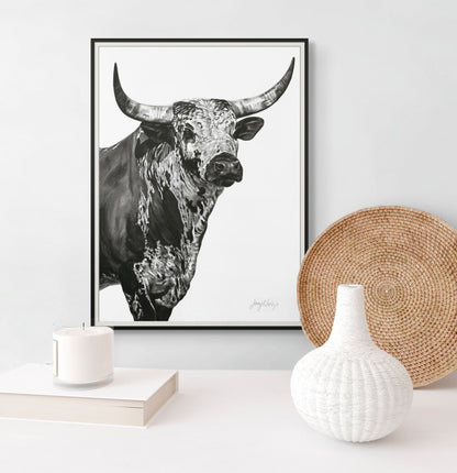 Nguni Bull Head (Portrait) Poster Print
