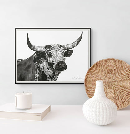 Nguni Bull Head (Landscape) Poster Print